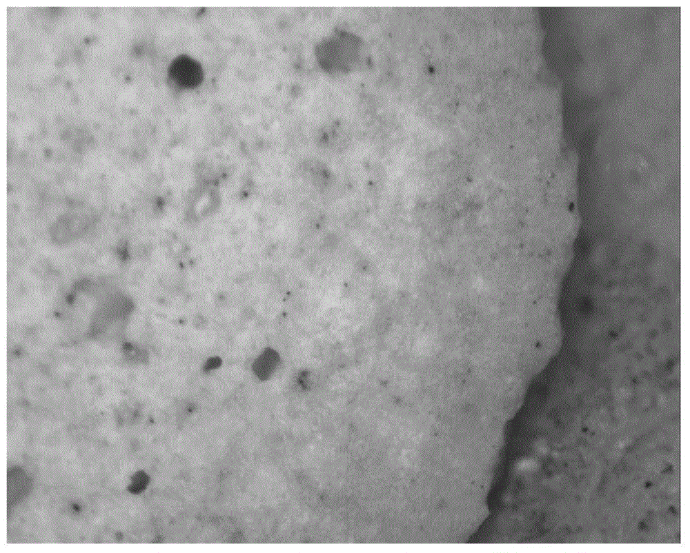 A kind of light ceramsite with potassium chloride surface assisted sintering and preparation method thereof