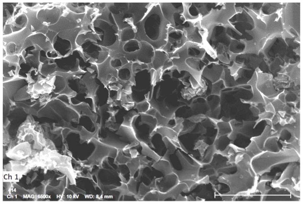 Preparation method of modified biomass charcoal composite chitosan-based adsorbent