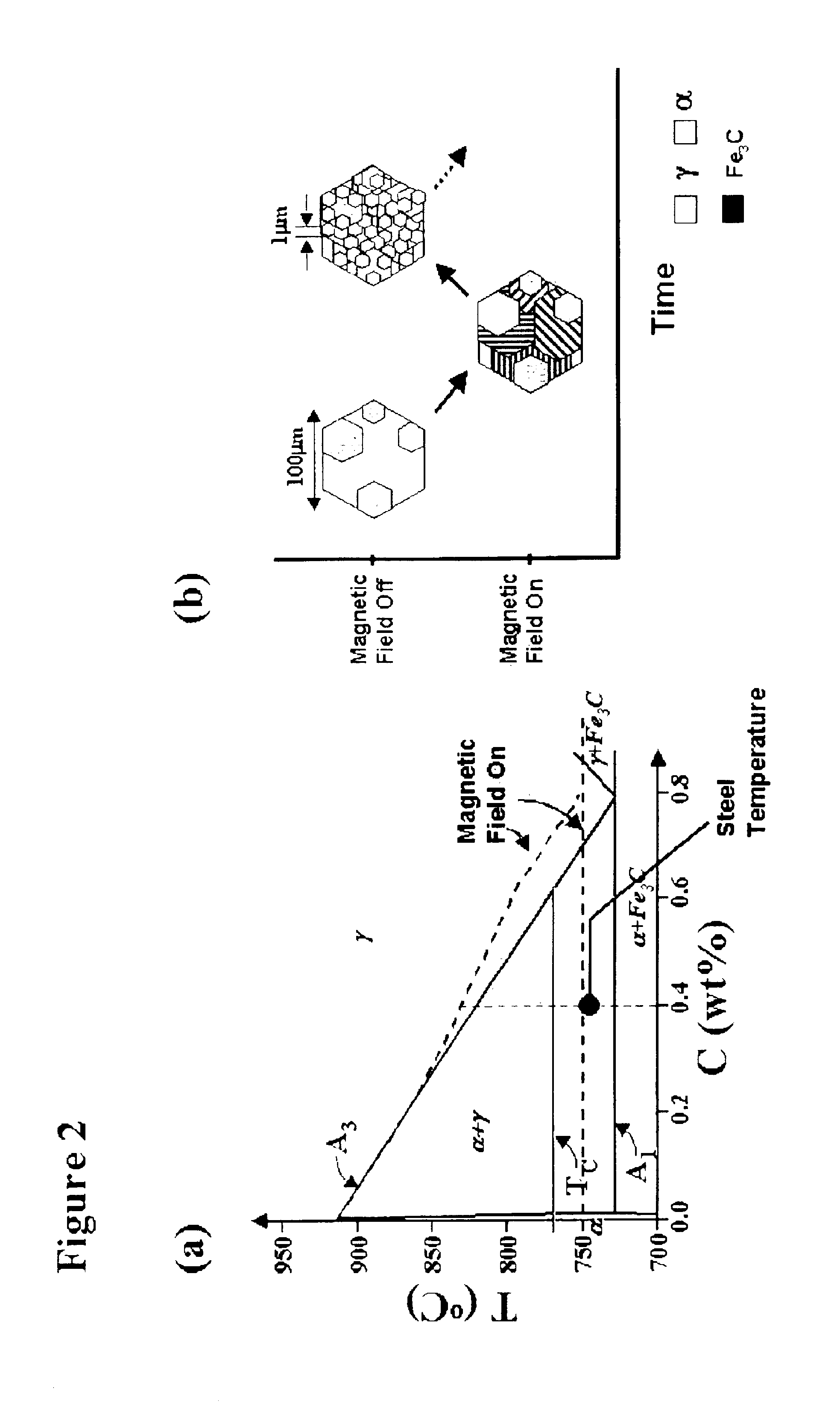 Grain refinement of alloys using magnetic field processing