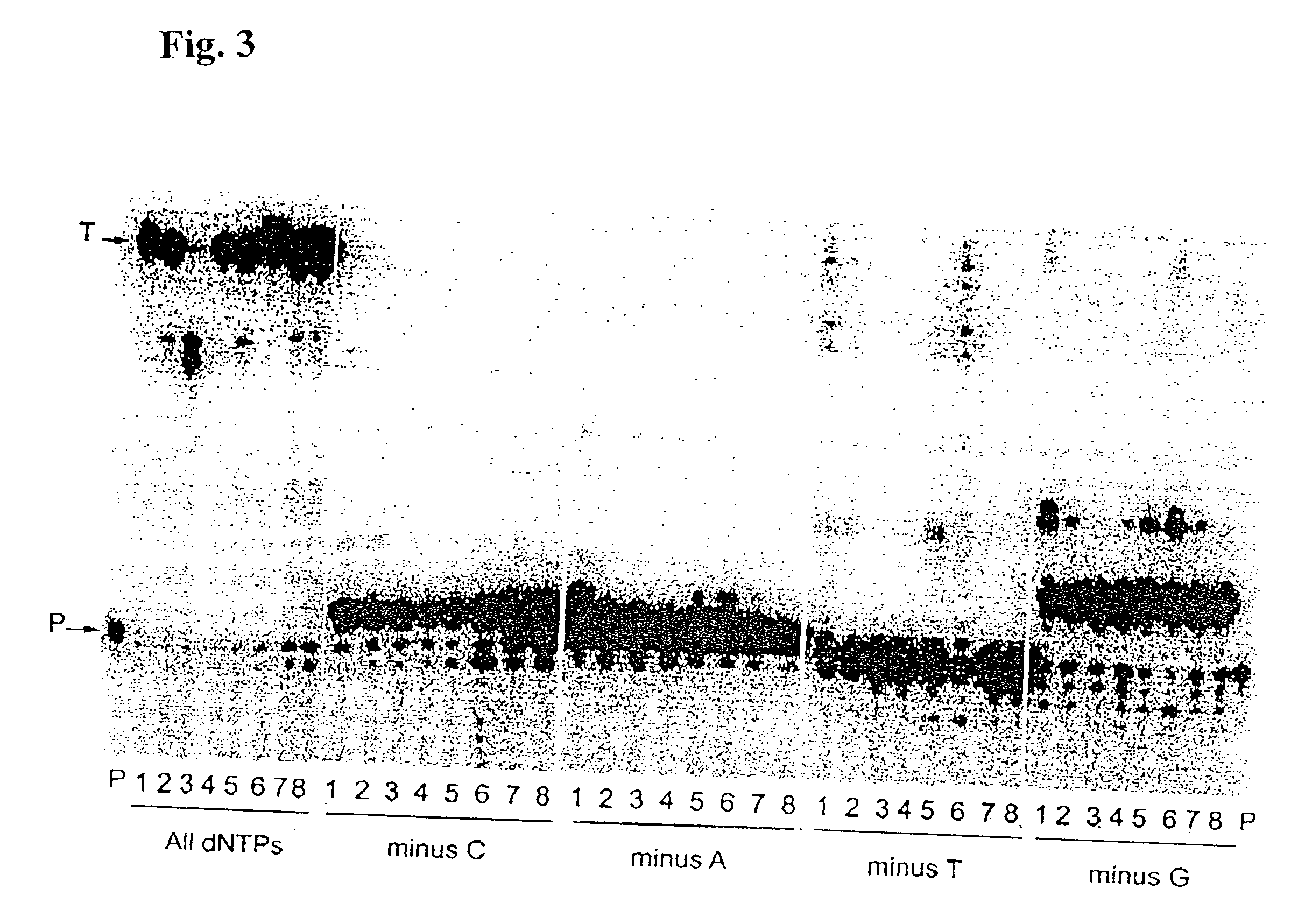 High fidelity reverse transcriptases and uses thereof