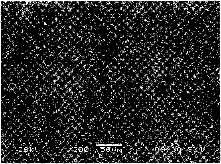 Method for preparing carbon/carbon composite material antioxidation coating layer