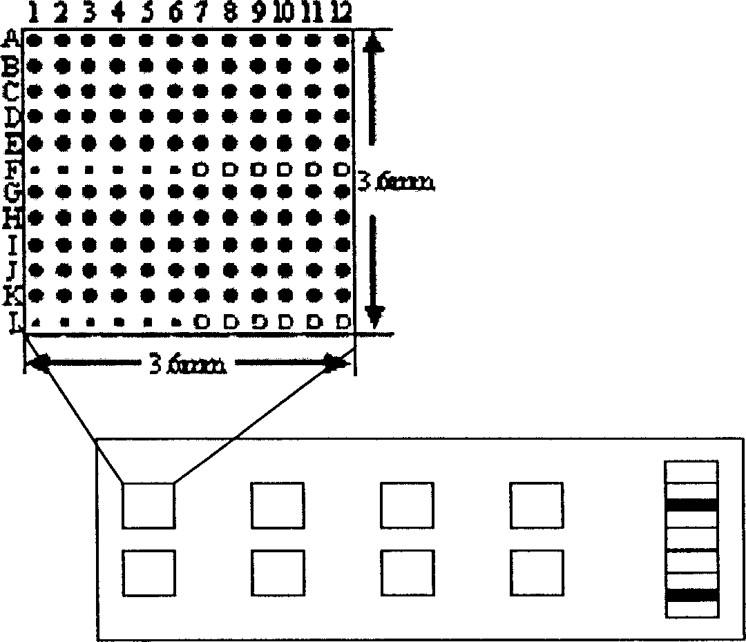 Quick detection method of pathogenic microbe diagnosis type gene chip