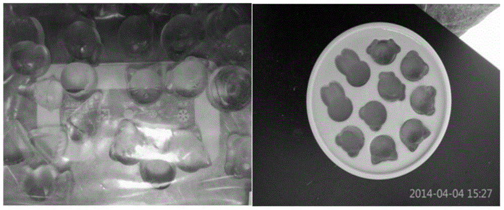 Brasenia schreberi gummy soft candy and preparation method thereof