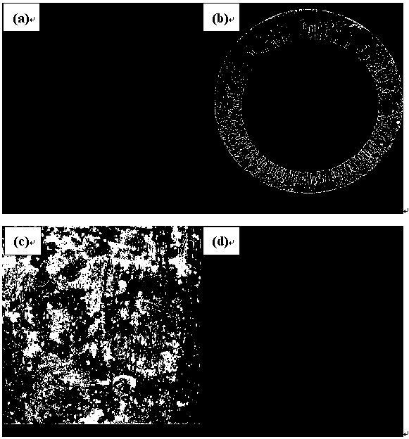 Method for treating biological filler from waste hollow fiber ultrafiltration membrane or microfiltration membrane as matrix