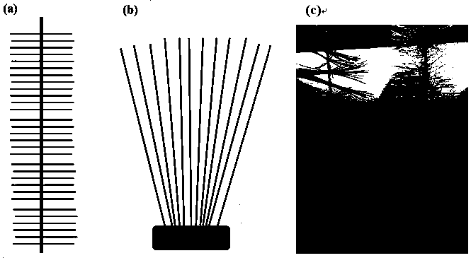 Method for treating biological filler from waste hollow fiber ultrafiltration membrane or microfiltration membrane as matrix