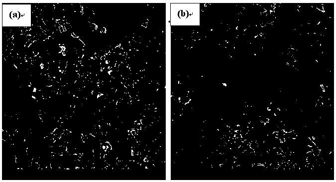 Method for treating biological filler from waste hollow fiber ultrafiltration membrane or microfiltration membrane as matrix