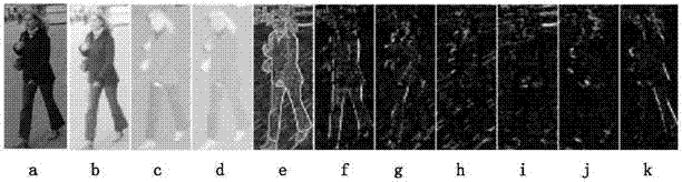 A Pedestrian Feature Extraction and Representation Method Based on Area Sparse Integral Channel