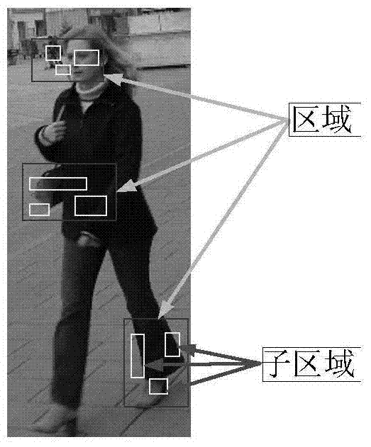 A Pedestrian Feature Extraction and Representation Method Based on Area Sparse Integral Channel