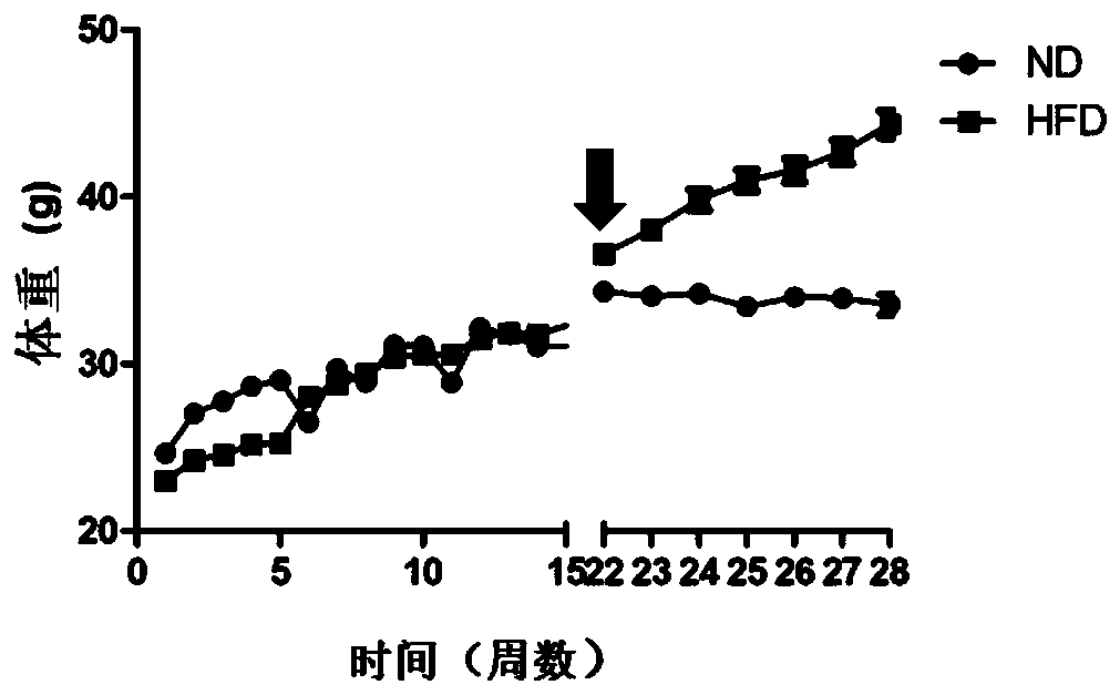 Polypeptides regulating energy metabolism and uses thereof