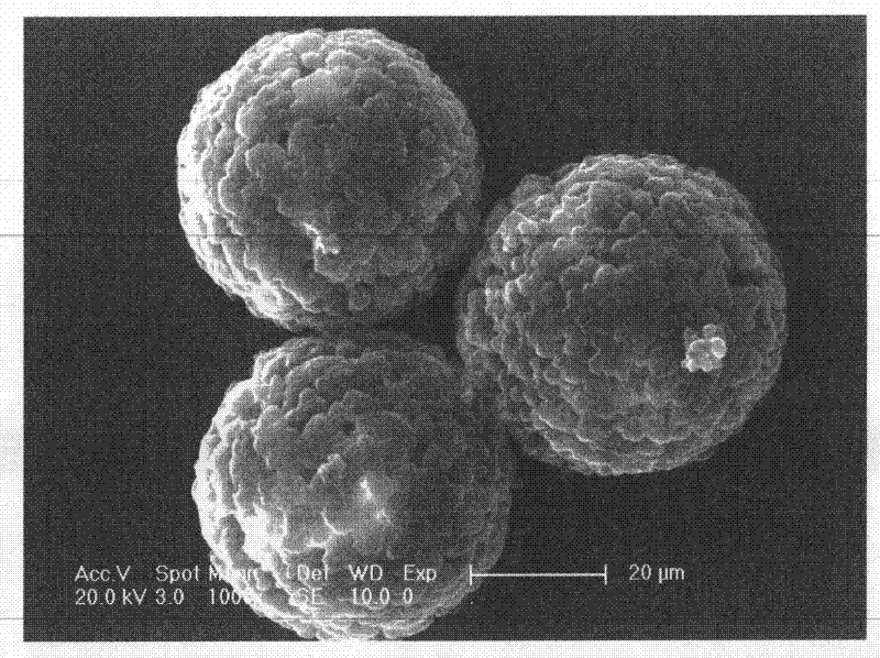 Method for preparing Ziegler Natta catalyst by taking porous polymer microsphere as carrier