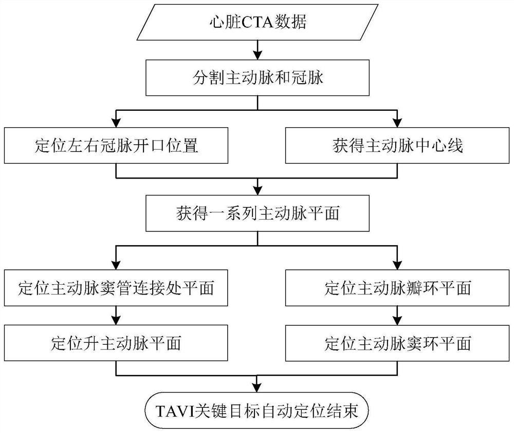 Automatic positioning device for TAVI preoperative key target and method thereof