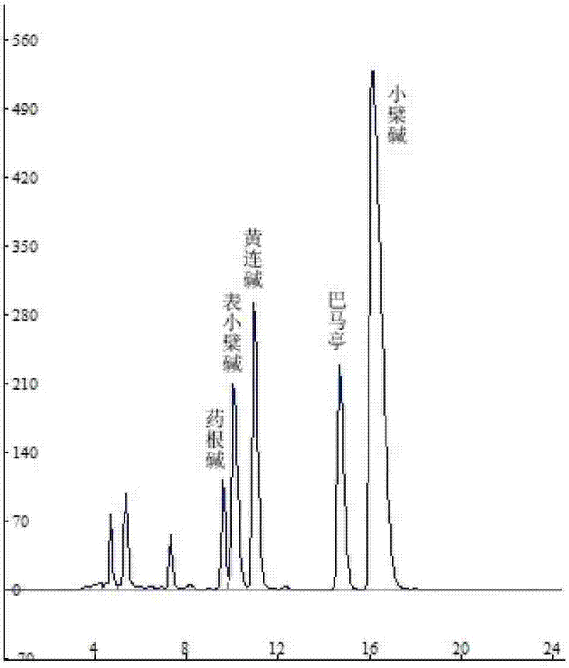 Method for separating and purifying coptisine monomers