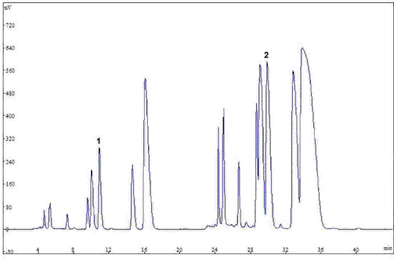 Method for separating and purifying coptisine monomers