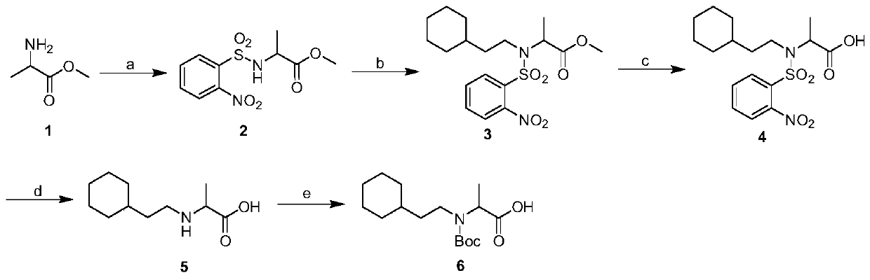 Polypeptide with nNOS-Capon uncoupling activity and application of polypeptide