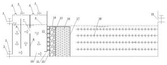 Method and device for treating catering wastewater