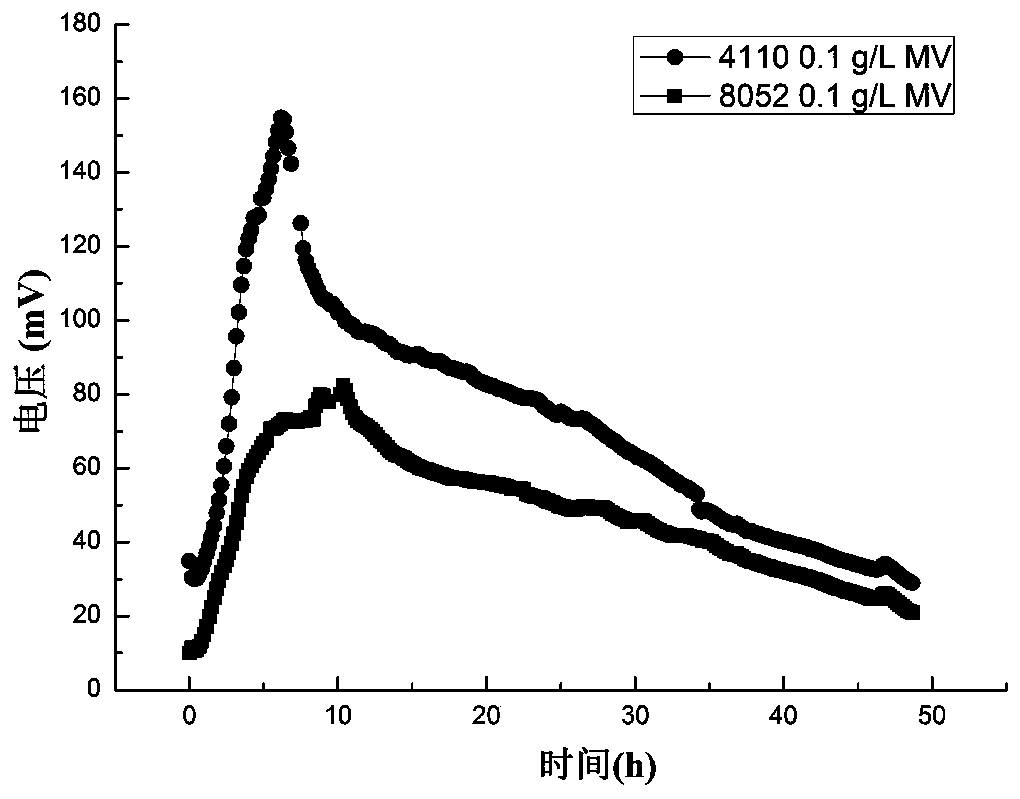 A kind of method and its application of improving electricity production of Clostridium beijerinckii