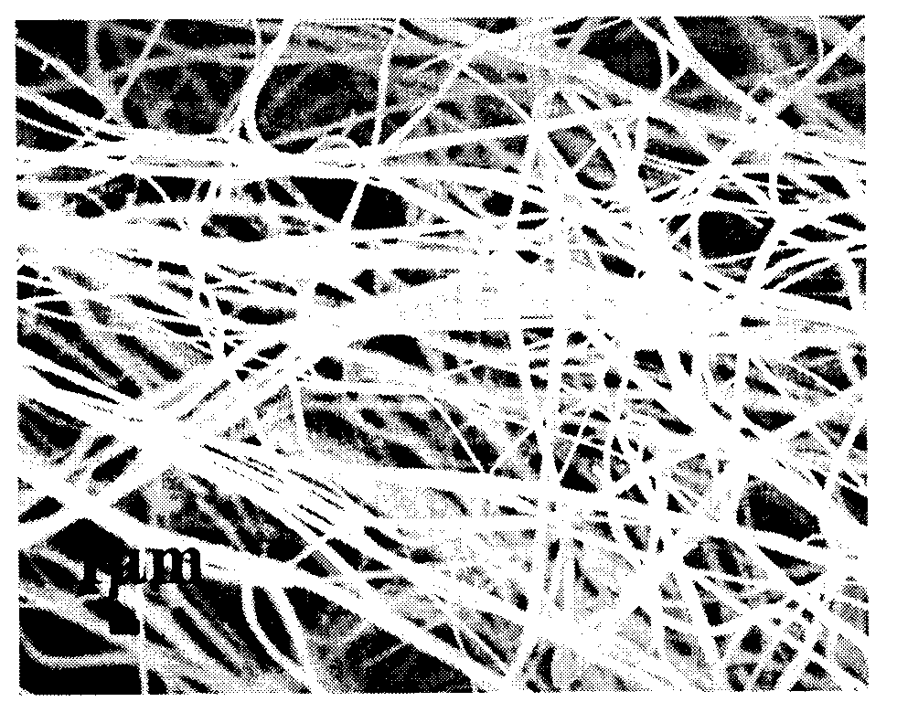 Preparation method of polyacrylonitrile-based carbon nanofibers