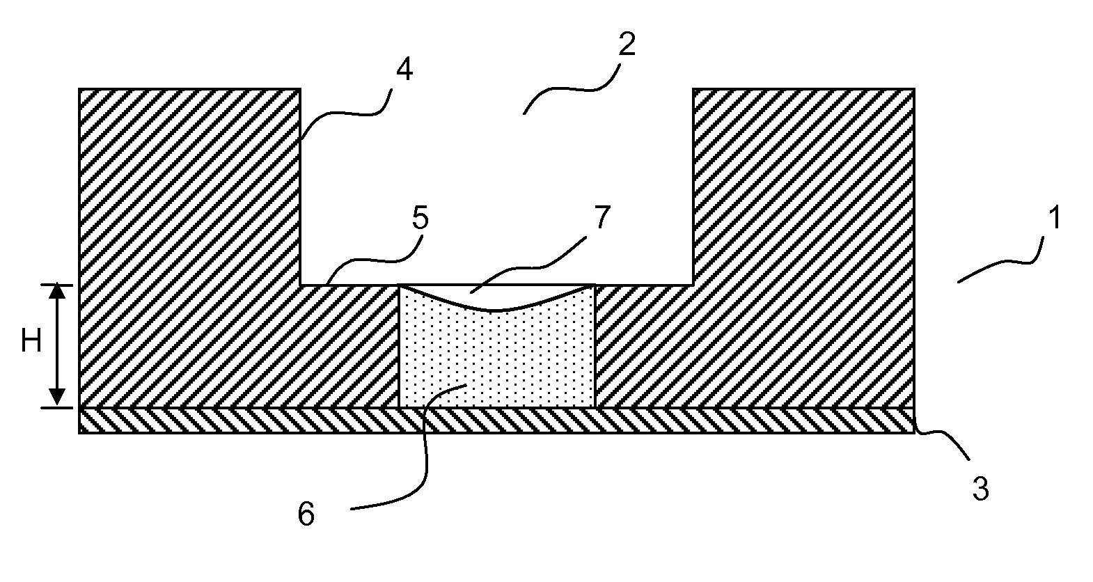 Specimen carrier for the study of cell growth