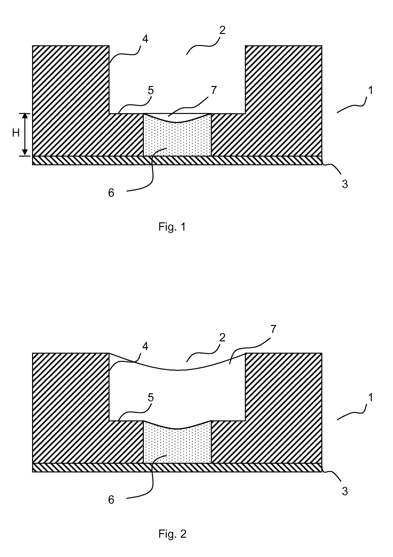 Specimen carrier for the study of cell growth