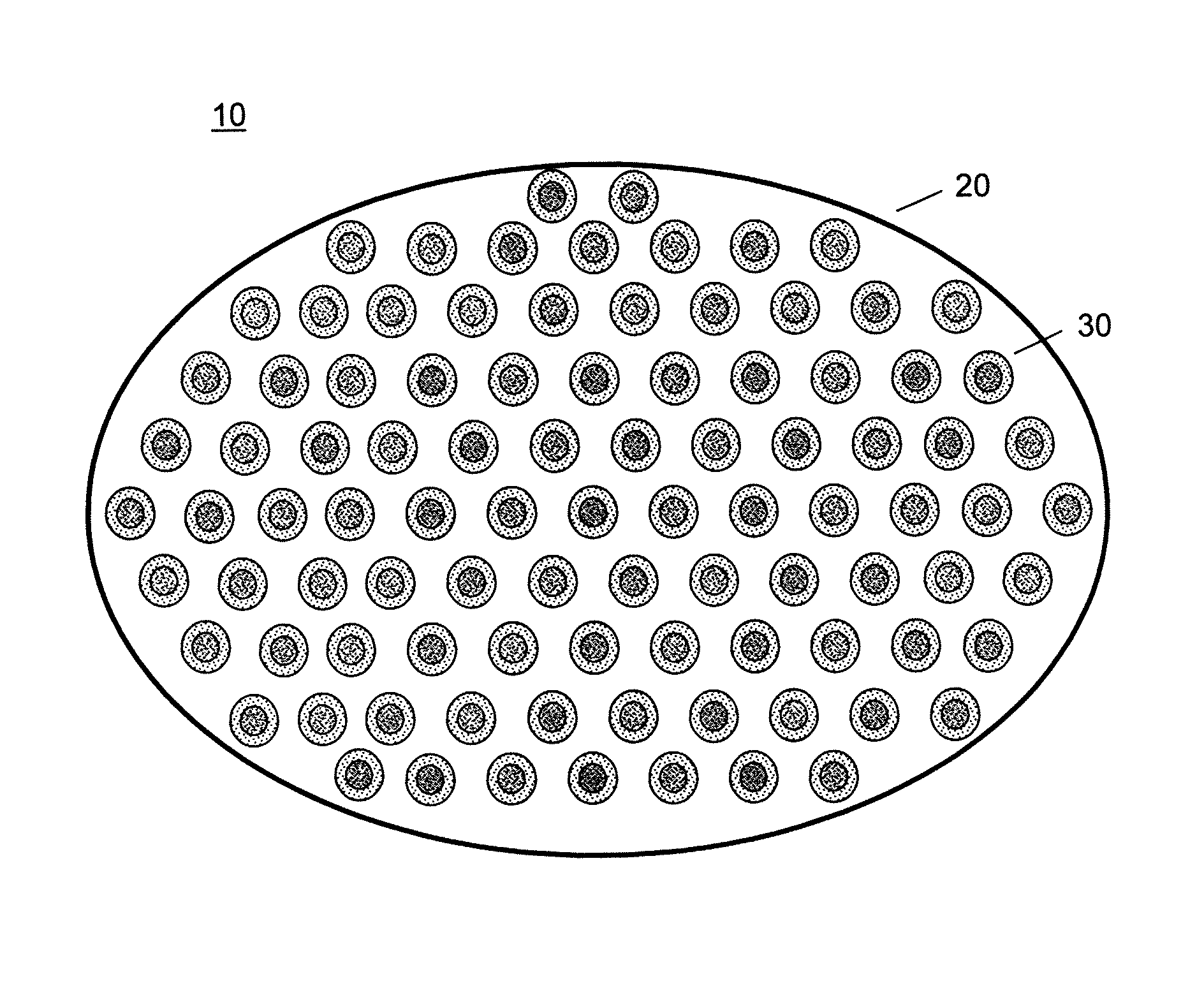 Immunoisolation patch system for cellular transplantation