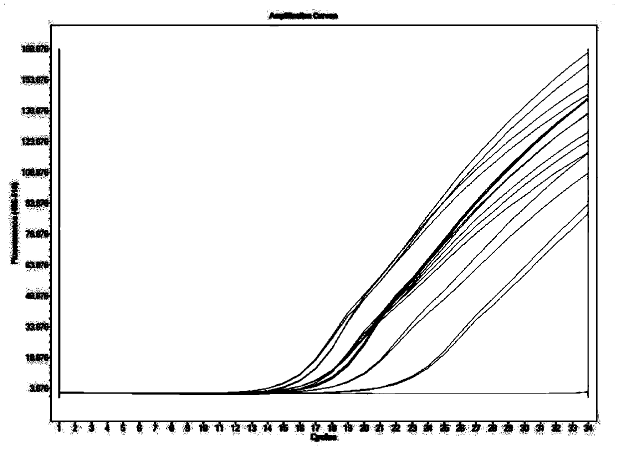 Universal primer for plant-derived component identification and application of universal primer