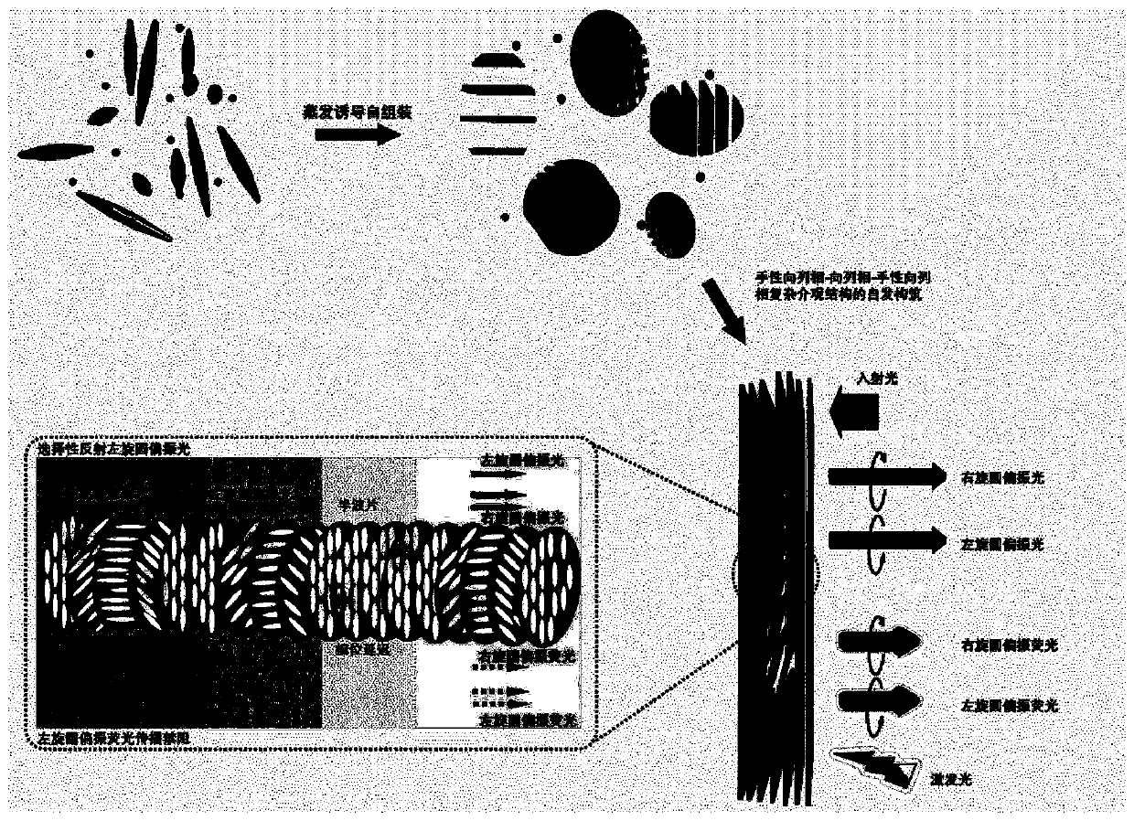 Crystalline-state nanocellulose-based double circularly polarized light/fluorescent thin film material as well as preparation method and application thereof to anti-counterfeiting label