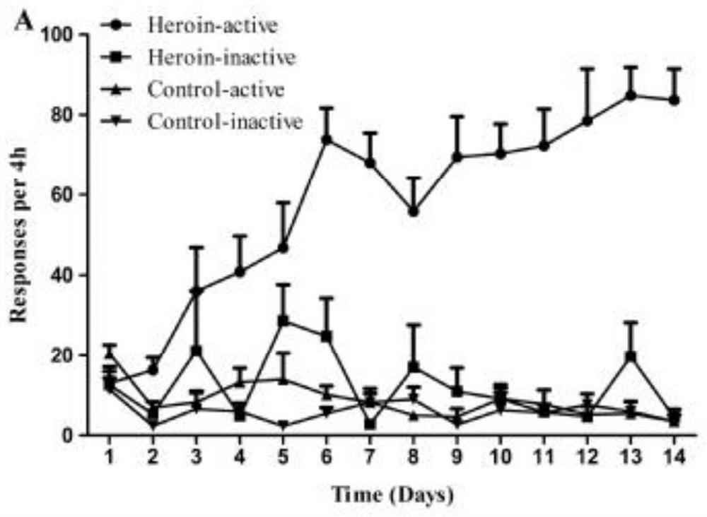 Application of GABRD methylation as heroin relapse resisting target