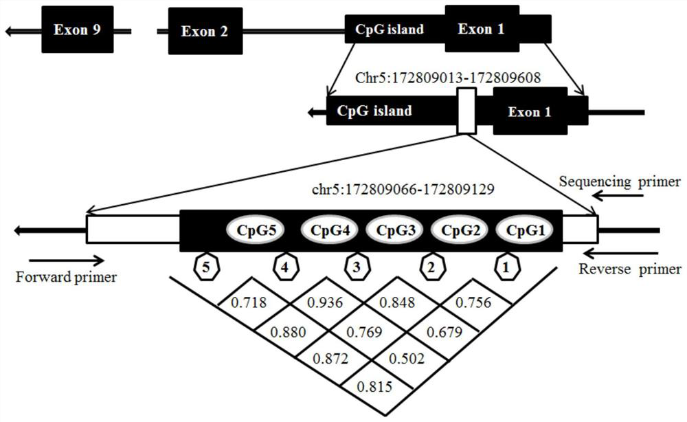 Application of GABRD methylation as heroin relapse resisting target