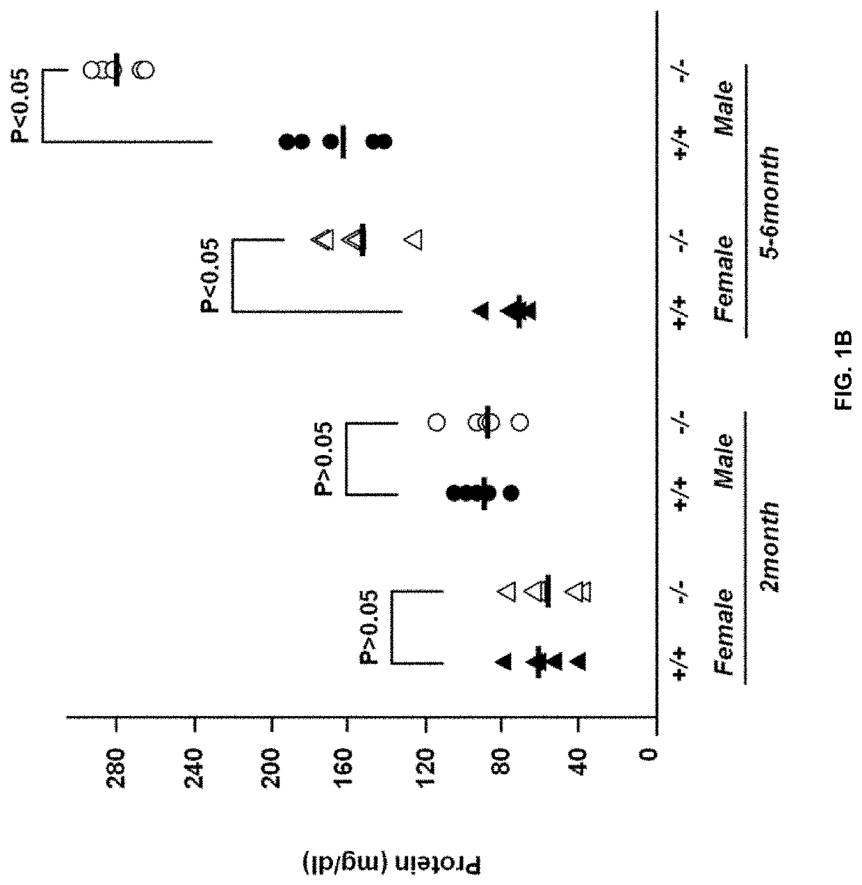 Use of 2-hydroxyoleic acid for the treatment of systemic lupus erythematosus and other immune pathologies