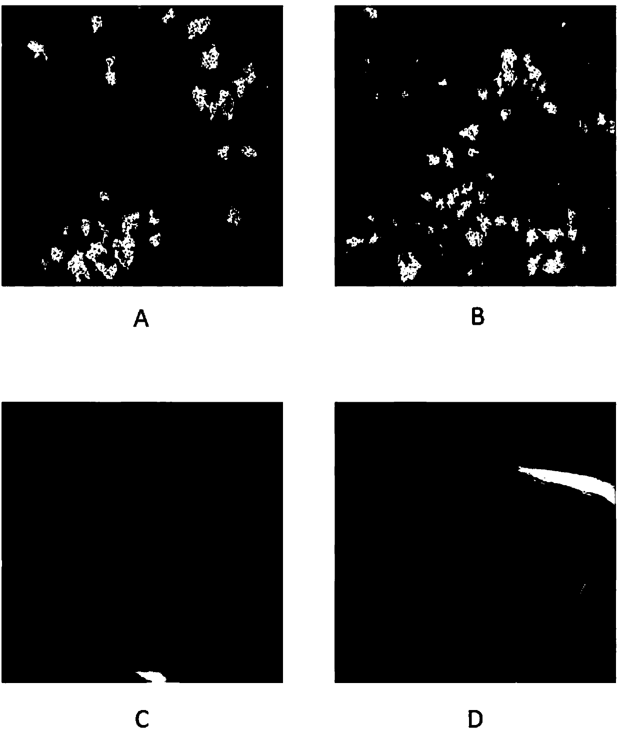 Method and kit for in vitro detecting responsiveness of epithelial tumor cells to therapeutic agent