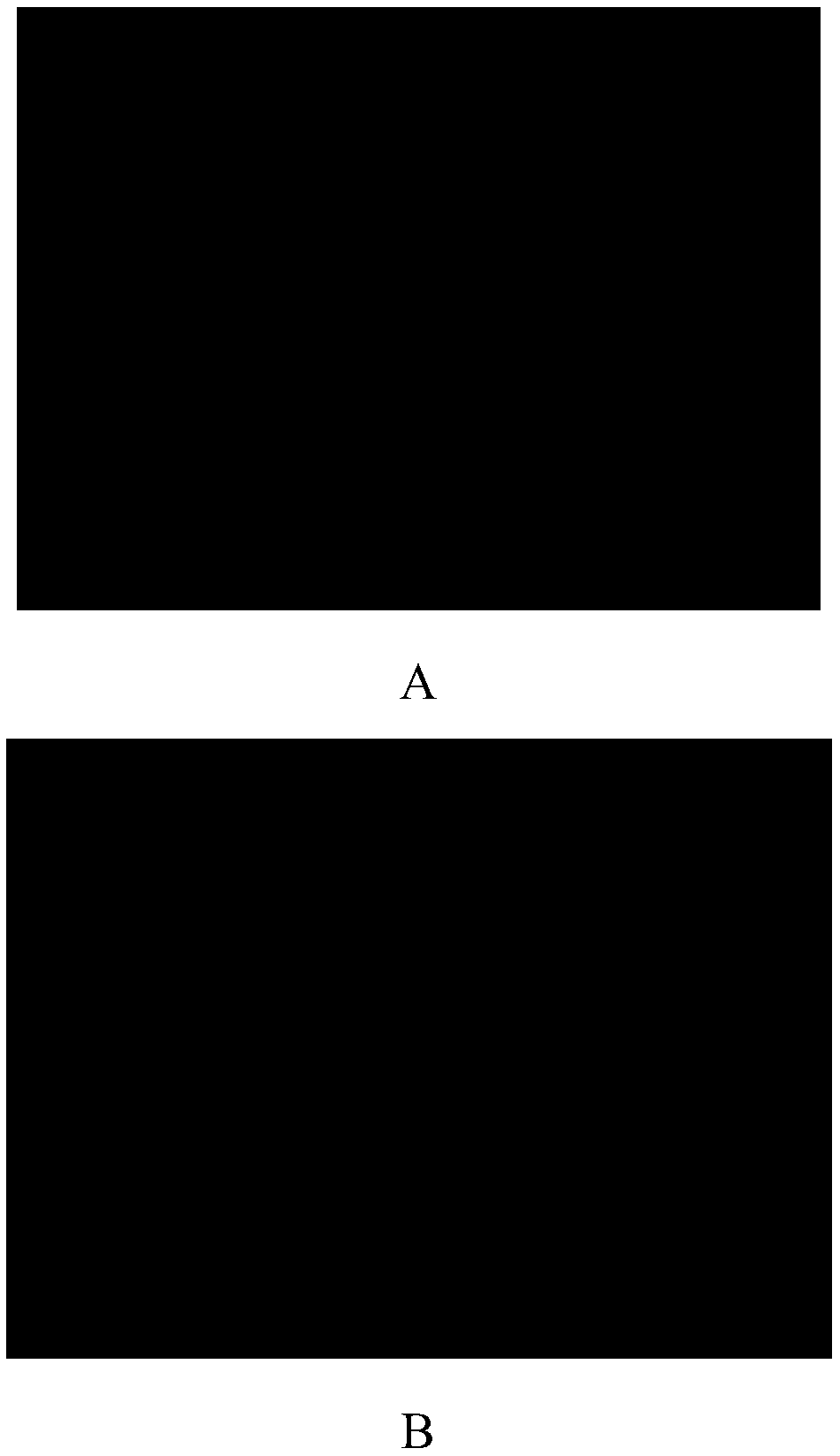 Method and kit for in vitro detecting responsiveness of epithelial tumor cells to therapeutic agent