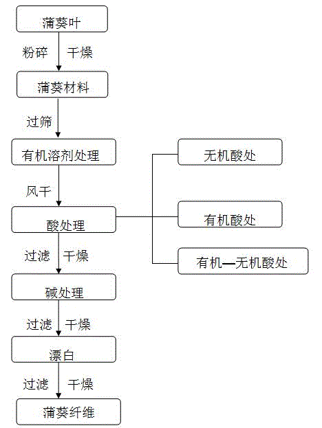 Method for extracting cellulose from Livistona chinensis leaves