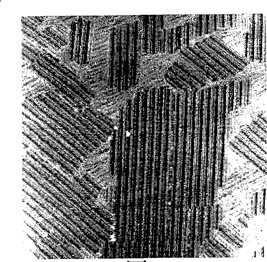 Organic molecular line and preparation method