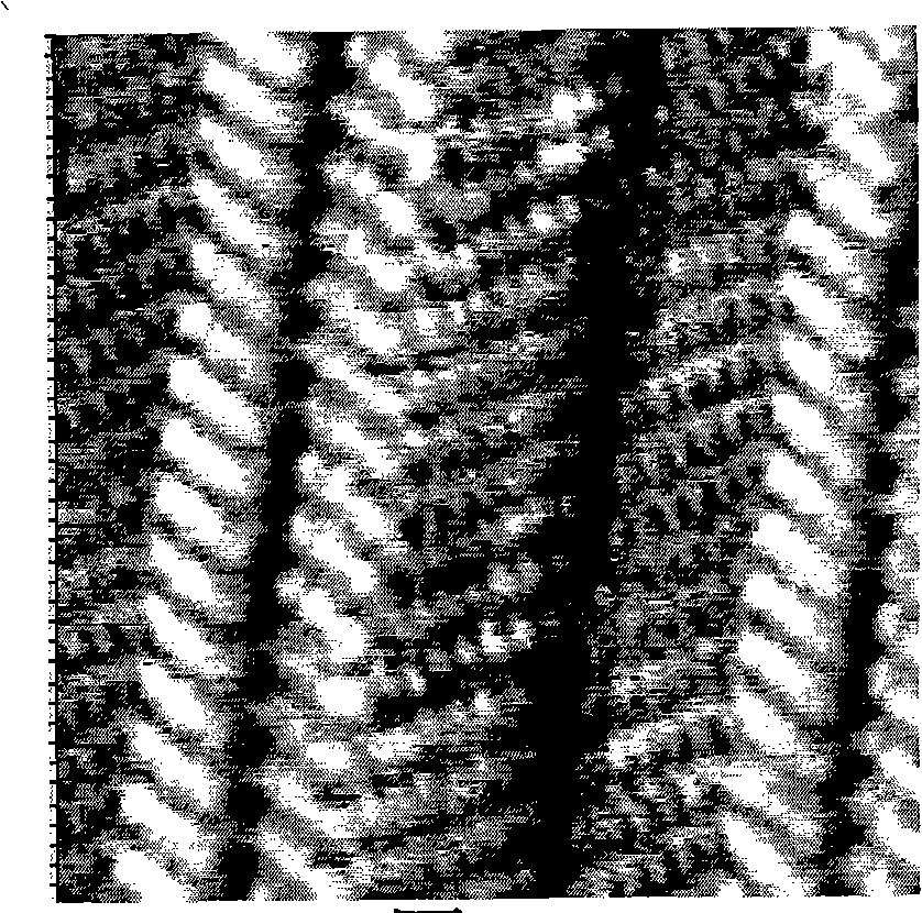 Organic molecular line and preparation method