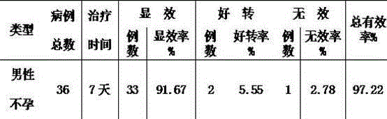 Medicine for treating male infertility and preparation method thereof