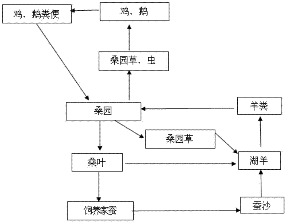 Composite planting and breeding method of silkworms, mulberries and sheep