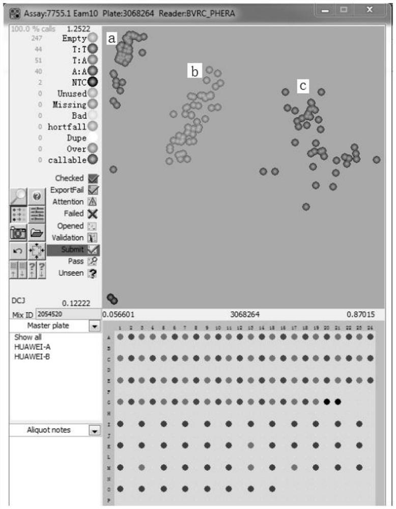 A precocious gene eam.z and its molecular marker snp595 and its application