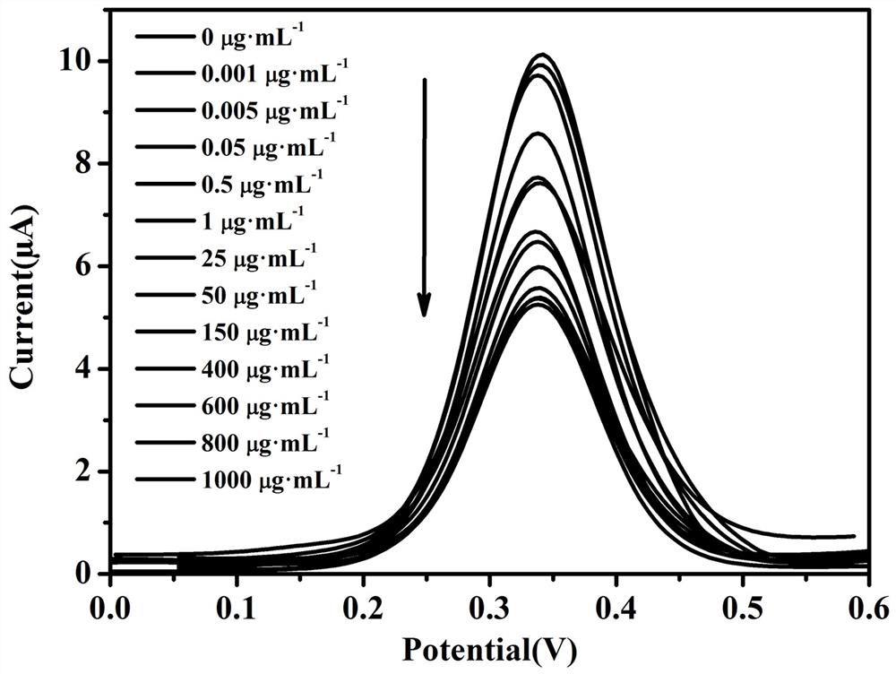 Method for detecting C-reactive protein based on Fc-ECG/MEL/AuNPs/SPE modified electrode