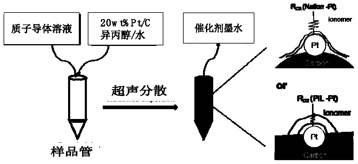 Oxygen reduction catalyst layer based on polyionic liquid as proton conductor and preparation method of oxygen reduction catalyst layer