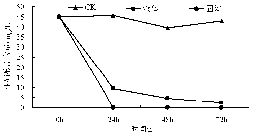 Solid fermentation method of straw fermentation bio-additive and application