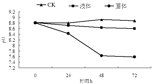 Solid fermentation method of straw fermentation bio-additive and application