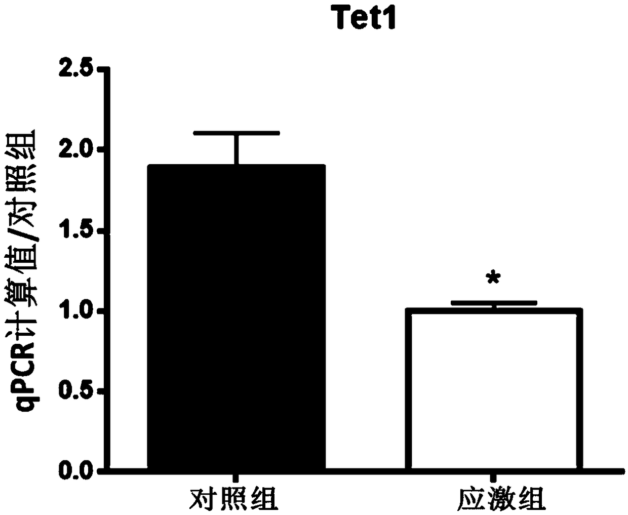 Application of TET (ten-eleven translocation) protein in treatment of depression