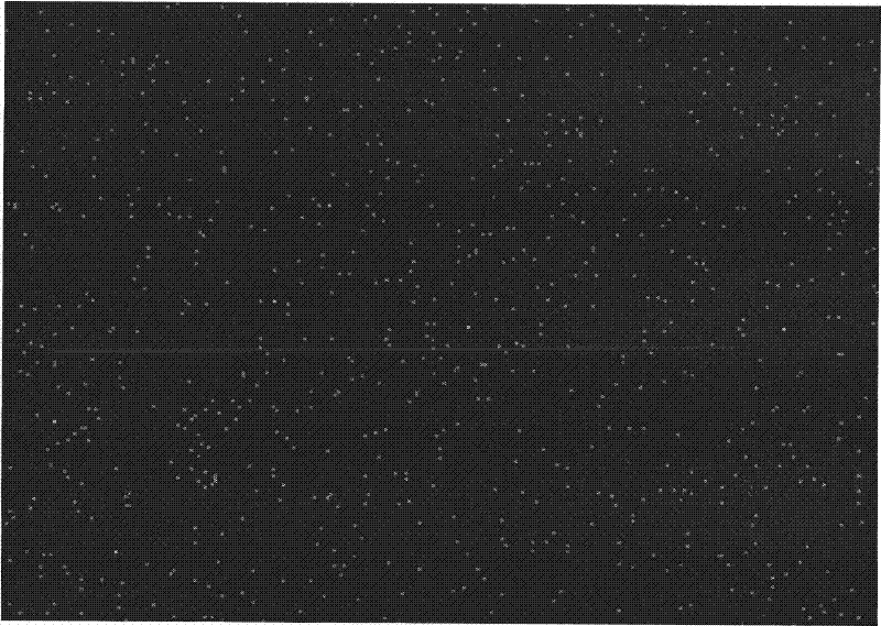 Method for improving performance of sintered Nd-Fe-B permanent magnetic material