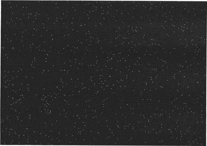 Method for improving performance of sintered Nd-Fe-B permanent magnetic material