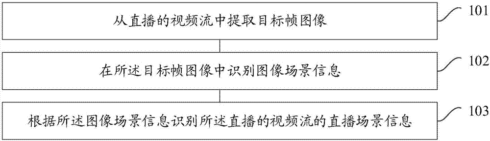 Scene detection method and apparatus of live video