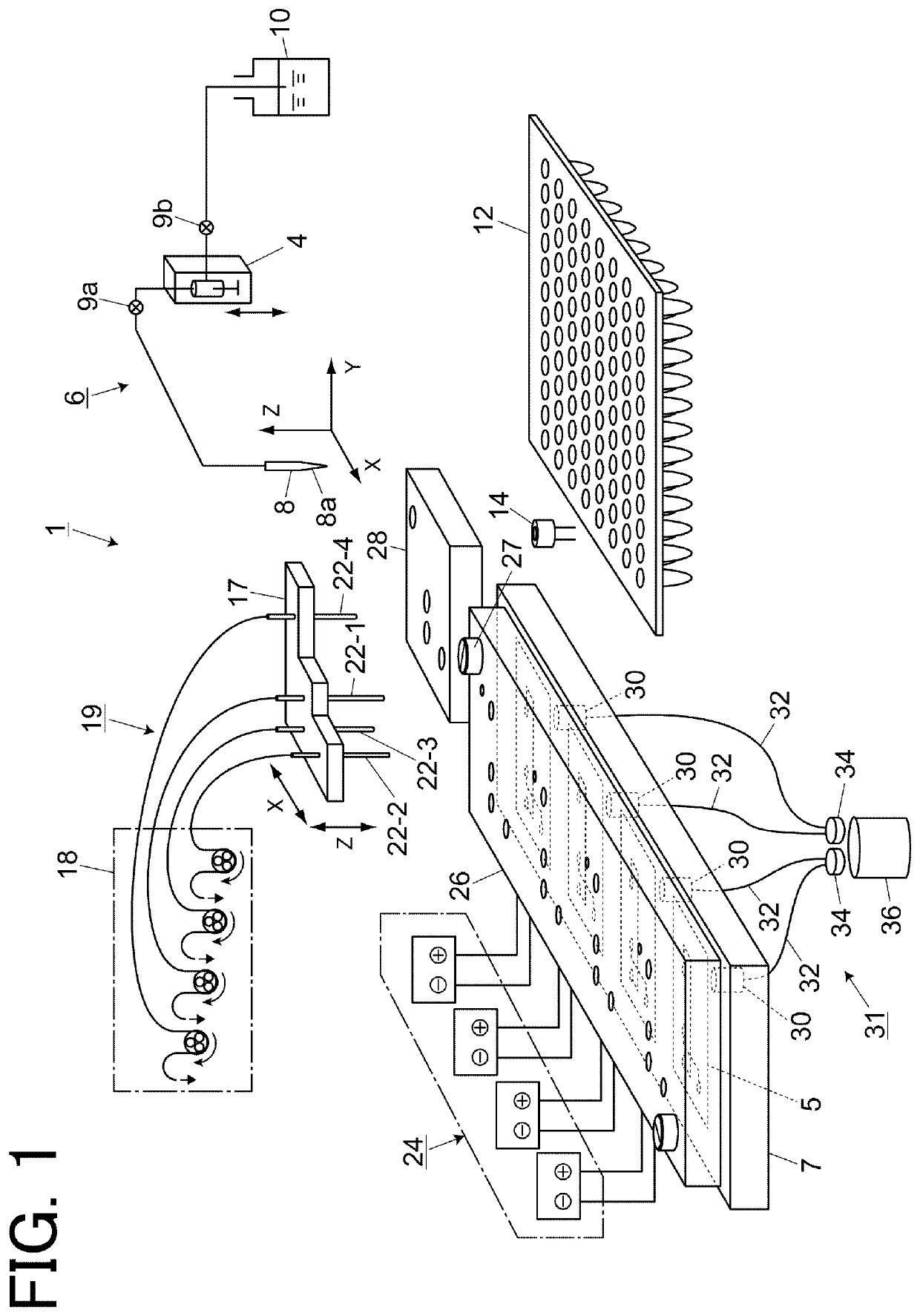 Microchip electrophoresis apparatus and microchip electrophoresis method