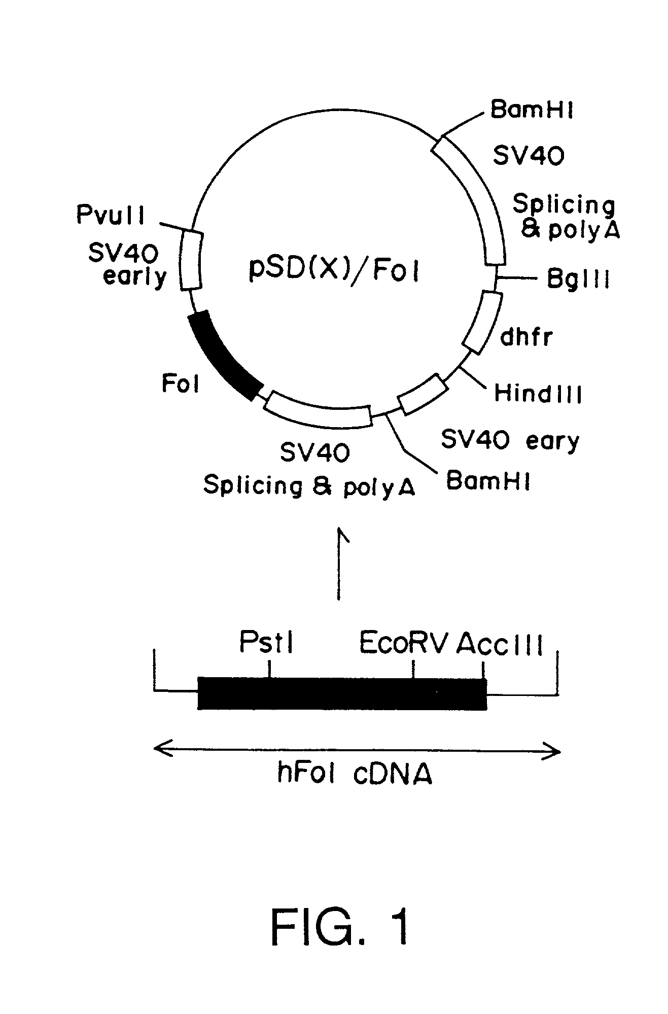 Medicament and method for treating renal disease