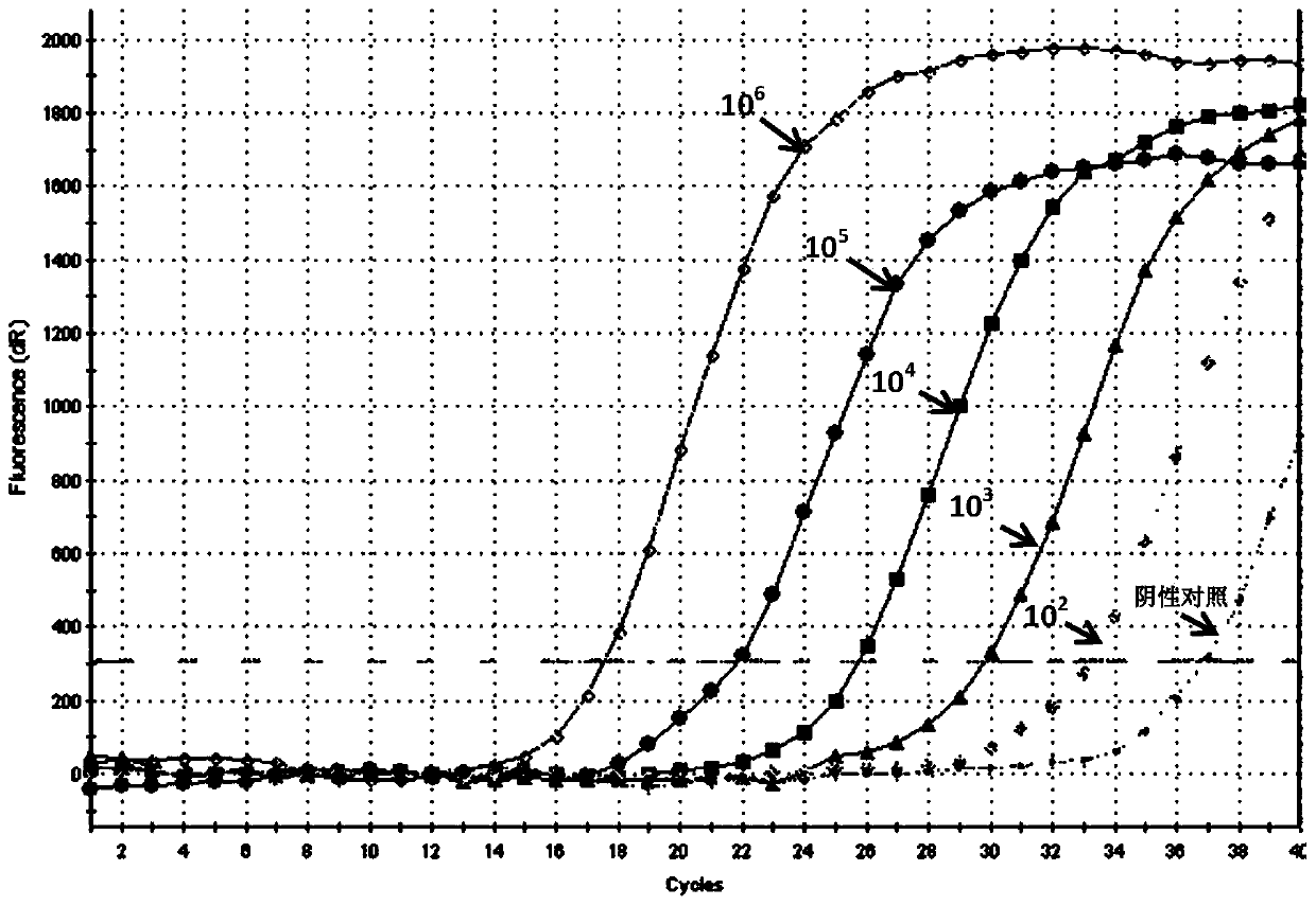 ARMS-based method for detecting botryis cinerea SdhB gene H272Y mutation