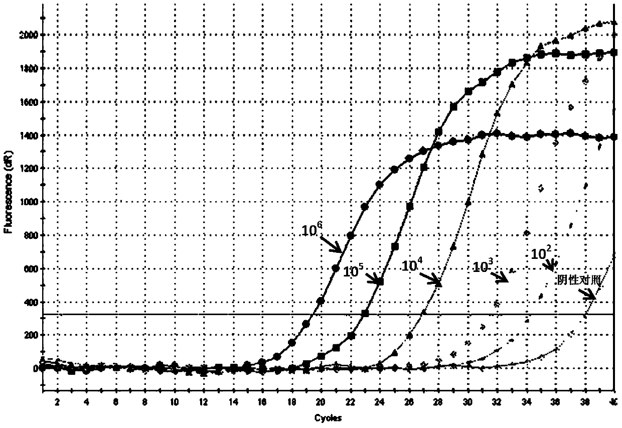 ARMS-based method for detecting botryis cinerea SdhB gene H272Y mutation