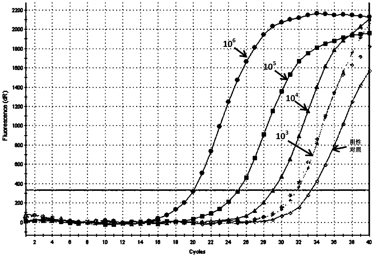 ARMS-based method for detecting botryis cinerea SdhB gene H272Y mutation